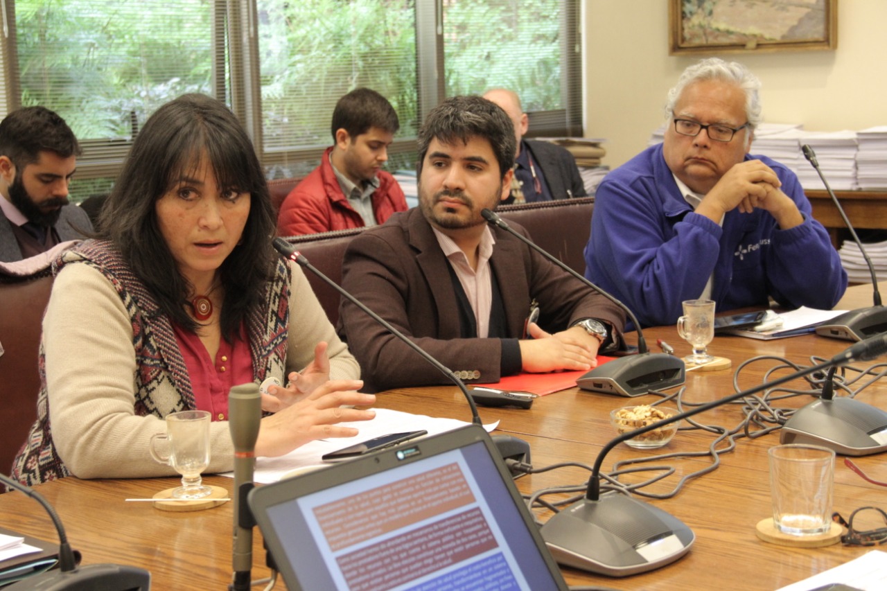 Fenpruss presente en exposición de Mesa Social por el Derecho a la Salud en el Senado