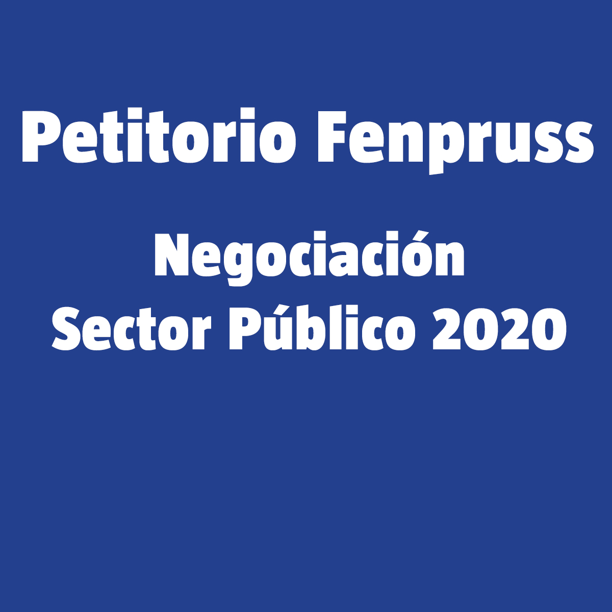 Petitorio Fenpruss Reajuste General de Remuneraciones y otras materias 2020