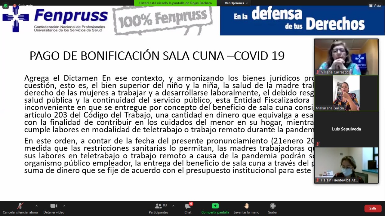 Exitosa charla sobre cuidado infantil reunió a dirigentes/as de todo Chile