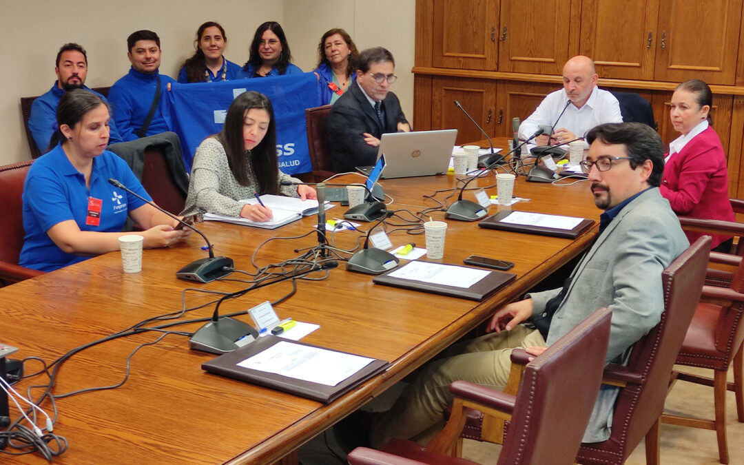 Fenpruss expuso en el Senado sobre necesidad de concretar carrera funcionaria