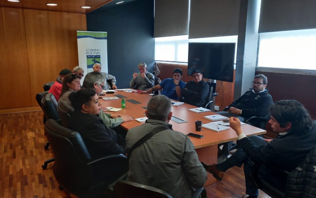 Fenpruss y Mesa ciudadana del transporte público de Concepción se reúnen con  jefe de división de infraestructura y Transporte del Gobierno Regional