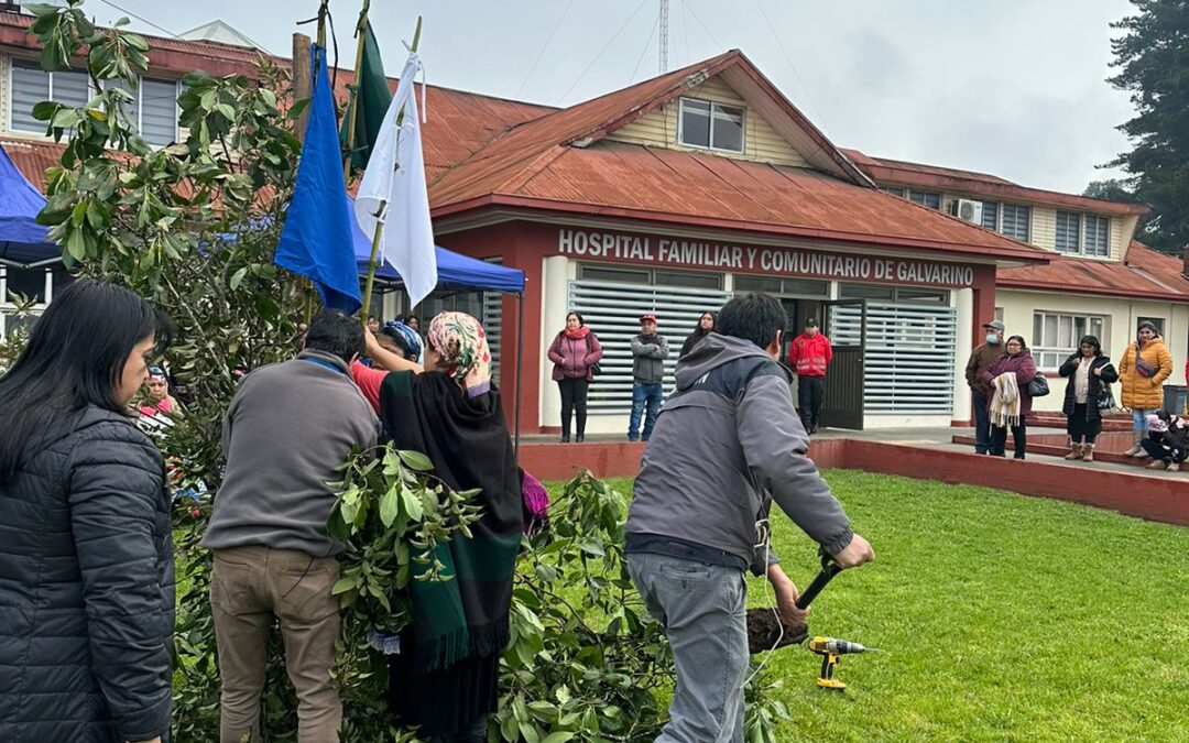 Por un sistema de salud más inclusivo, sin distinción de origen étnico o cultural: Fenpruss Coordinación Araucanía Sur participa en celebraciones de We Tripantu