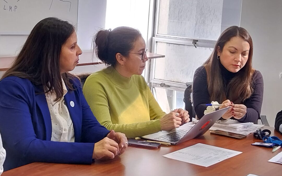 “Sala Cuna para Chile” y crisis del cuidado: ISP y Comité de Mujeres de la ISP se reúne con equipo asesor del ministro del Trabajo