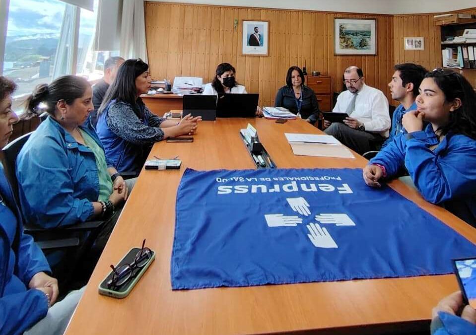 Fenpruss Coordinación Los Ríos se manifiesta por errores en Concurso de Ingreso a Planta Profesional