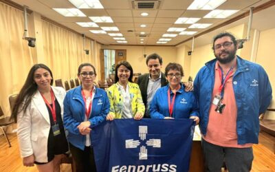Fenpruss Aysén se reúne con diputadas y diputados para abordar la salud primaria regional