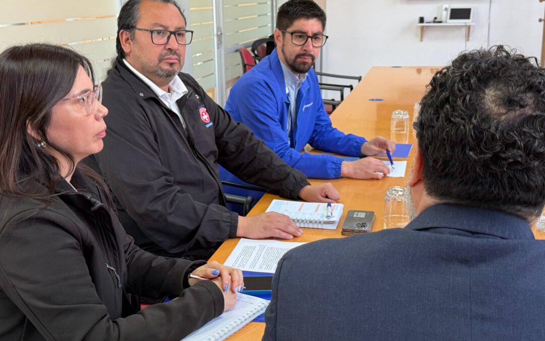 Fenpruss se reúne con OIT Cono Sur y alerta por prácticas antisindicales en salud