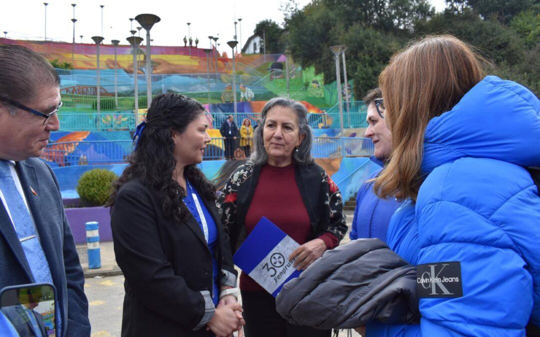 Coordinación Fenpruss Araucanía Sur expresó su rechazo al recorte del 3% y programas de salud a la ministra May Chomalí