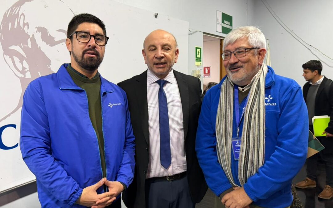 Fenpruss expone preocupación a los parlamentarios por crisis hospitalaria y falta de respuestas del Gobierno