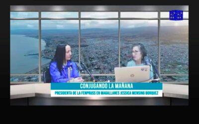 En Radio Magallanes, Fenpruss llama a priorizar la salud mental como política pública