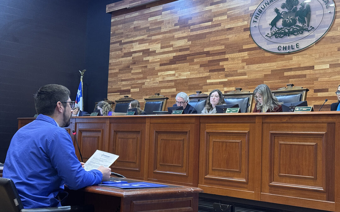 Fenpruss se hizo parte de alegatos en el Tribunal Constitucional contra megarreforma del gobierno