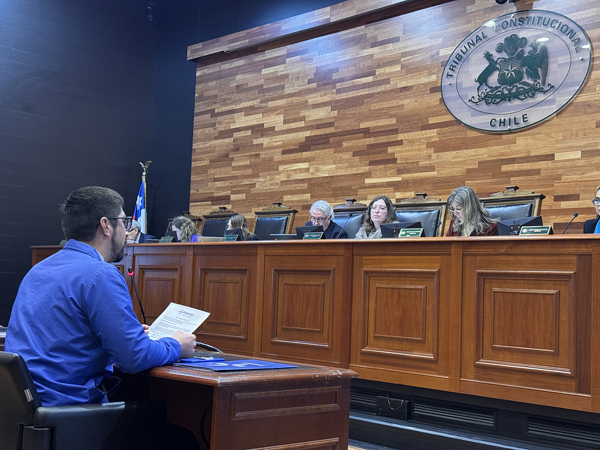 Fenpruss presentación tribunal constitucional megarreforma agosto 2026