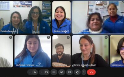 Aysén y Magallanes fortalecen coordinación sindical para defender la salud pública