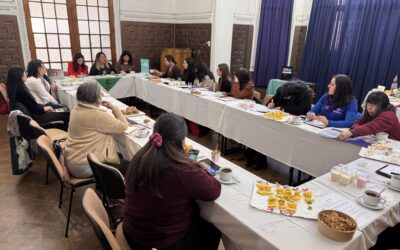 Fenpruss participó de reunión sobre política exterior feminista ante cambios en organismos internacionales