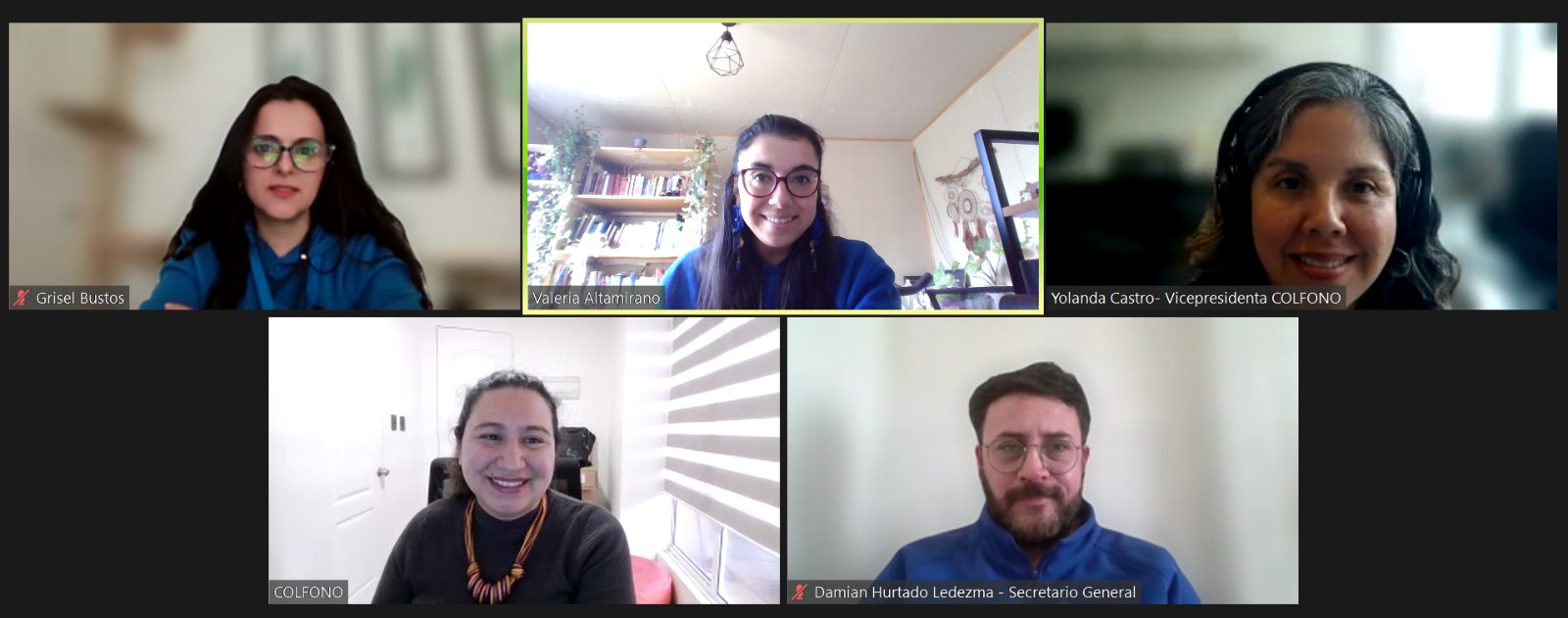 Reunión Fenpruss Colegio de Fonoaudiólogos septiembre 2026