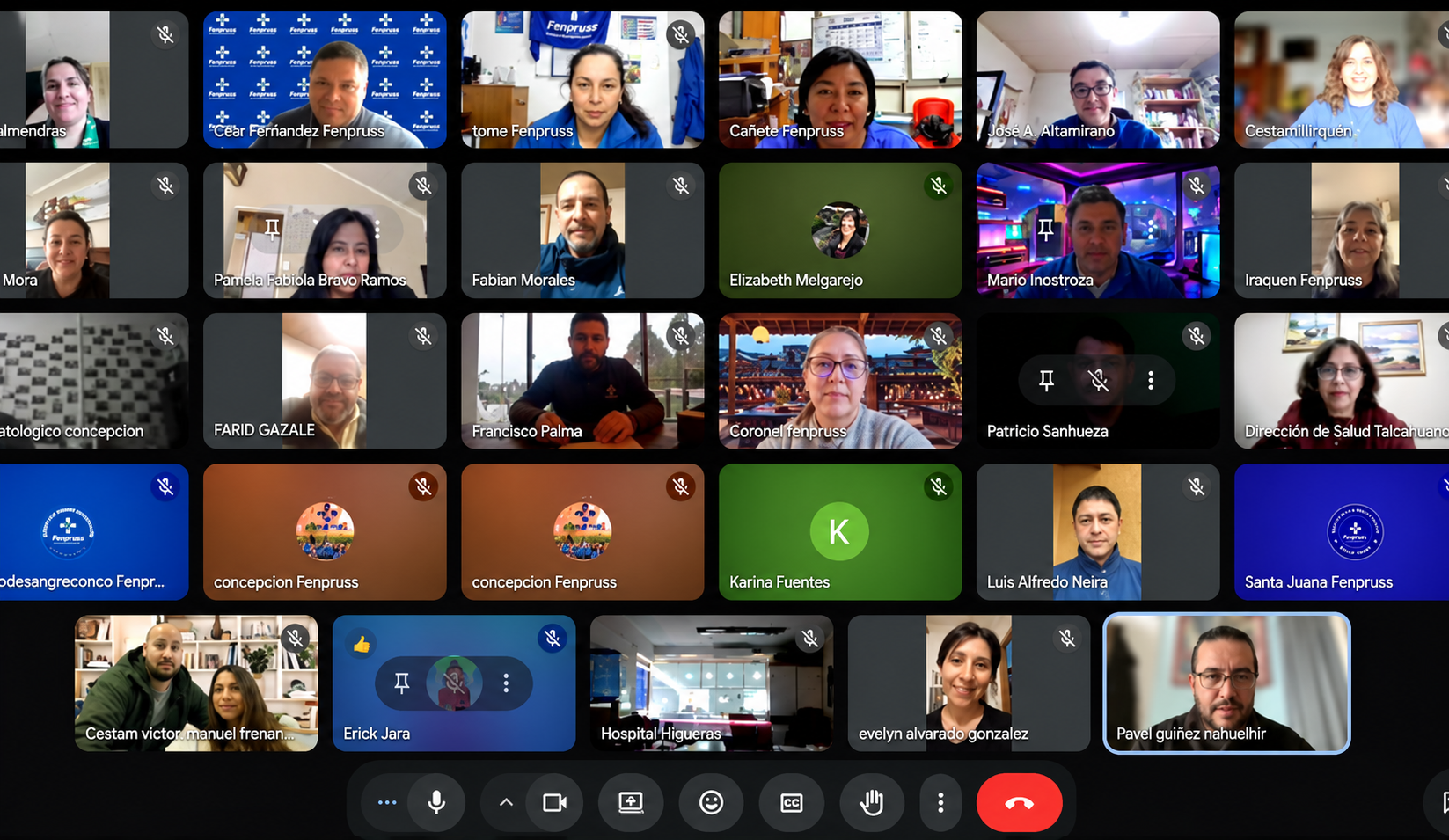 Reunión virtual Fenpruss en cuadrícula